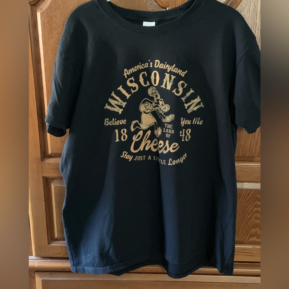 Disney Wisconsin “Land of Cheese” Tee (Goofy Design)